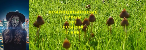 мяу мяу мука Алзамай