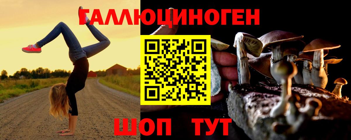 Псилоцибиновые грибы GOLDEN TEACHER  Вход с VPN  Грязи 