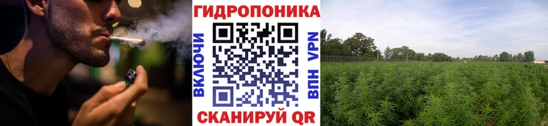 МАРИХУАНА OG Kush  хочу наркоту  Грязи 